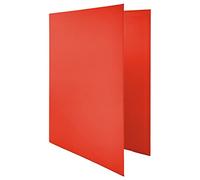 Raylu Paper® - Archivador 4 anillas en D de 25 mm, archivador A4 con anillas para guardar documentos, A4 de tamaño 33,5 cm de alto x 26 cm de ancho y lomo de 4 cm de grosor (Rojo)