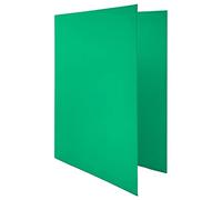 Raylu Paper® - Archivador 4 anillas en D de 25 mm, archivador A4 con anillas para guardar documentos, A4 de tamaño 33,5 cm de alto x 26 cm de ancho y lomo de 4 cm de grosor (Verde Oscuro)