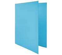 Raylu Paper® - Archivador 4 anillas en D de 25 mm, archivador A4 con anillas para guardar documentos, A4 de tamaño 33,5 cm de alto x 26 cm de ancho y lomo de 4 cm de grosor (Azul Claro)