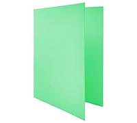 Raylu Paper® - Archivador 4 anillas en D de 25 mm, archivador A4 con anillas para guardar documentos, A4 de tamaño 33,5 cm de alto x 26 cm de ancho y lomo de 4 cm de grosor (Verde Pastel)