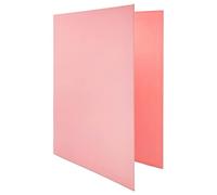 Raylu Paper® - Archivador 4 anillas en D de 25 mm, archivador A4 con anillas para guardar documentos, A4 de tamaño 33,5 cm de alto x 26 cm de ancho y lomo de 4 cm de grosor (Rosa Pastel)