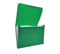 Raylu Paper® - Carpeta clasificadora tipo acordeón para documentos con 12 compartimentos, archivador de plástico opaco con separadores para oficina (Verde)