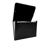 Raylu Paper® - Carpeta clasificadora tipo acordeón para documentos con 12 compartimentos, archivador de plástico opaco con separadores para oficina (Negro)