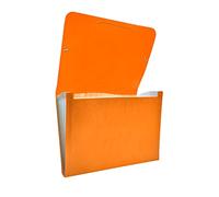 Raylu Paper® - Carpeta clasificadora tipo acordeón para documentos con 12 compartimentos, archivador de plástico opaco con separadores para oficina (Naranja)