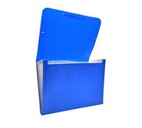 Raylu Paper® - Carpeta clasificadora tipo acordeón para documentos con 12 compartimentos, archivador de plástico opaco con separadores para oficina (Azul)