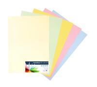 Raylu Paper® - Cartulinas 50x65cm, 25 Unidades, 180g/m². Cartulinas 50 x 65 cm de colores ideales para manualidades, oficina, dibujo, papiroflexia (Surtido Pastel)
