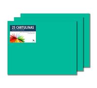 Raylu Paper® - Cartulinas 50x65cm, 25 Unidades, 180g/m². Cartulinas 50 x 65 cm de colores ideales para manualidades, oficina, dibujo, papiroflexia (Verde Menta)