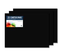 Raylu Paper® - Cartulinas 50x65cm, 25 Unidades, 180g/m². Cartulinas 50 x 65 cm de colores ideales para manualidades, oficina, dibujo, papiroflexia (Negro)