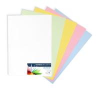 Raylu Paper® - Cartulinas 50x65cm, 5 Unidades, 180g/m². Cartulinas 50 x 65 cm de colores ideales para manualidades, oficina, dibujo, papiroflexia (Surtido Pastel - 5 hojas)