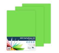 Raylu Paper - Cartulinas A4 100 unidades, 180gr 210 x 297 mm, Ideal para encuadernación, trabajos de oficina, dibujo, manualidades. aptas para uso escolar. (Verde Pino)