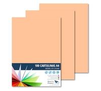 Raylu Paper - Cartulinas A4 100 unidades de color cuero, 180gr 210 x 297 mm, Ideal para encuadernación, trabajos de oficina, dibujo, manualidades. aptas para uso escolar. (Carne)