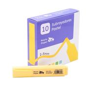 RAYLU PAPER Subrayadores Fluorescentes con Punta Biselada, Pack de 10 Marcadores Fluorescentes con Trazo de 2-5mm, Rotuladores Fluorescentes para Organización (10, Amarillo pastel)
