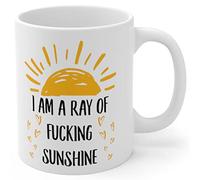 Rayo De Sol De Mierda Tazón Novedad Tazas Té Graciosa Tazas De Regalo Regalos Divertidos Para Amigos Familiares Novios 330 Ml