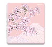 Raypad Aqua Control 2 Gaming Mouse Pad ultra-High Precision Pad de ratn con capacidad perfecta y capacidad de control consistente X e Y Glide disea