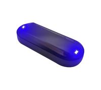 Raypontia Alarma ficticia simulada con energía Solar para Coche,Falsa Alarma LED Intermitente para Coche con energía Solar | Alarma de Coche de Larga duración con batería, antirrobo Duradero de