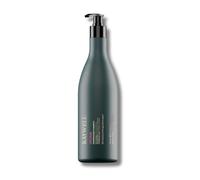 Raywell B.io Maintenance - Champú suave para cabellos teñidos, sella y protege el color del cabello, aporta brillo y suavidad al cabello teñido, sin sulfatos (1000 ml)