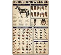 Razas de caballos del mundo Conocimiento de los caballos Letrero de metal Infografía de descepillado de caballos Póster de hojalata Escuela Granja Hogar Cocina Decoración del hogar Placa 8x12 p