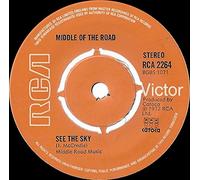 RCA2264 7"-45 giri" Bottoms Up / See The Sky VINYL