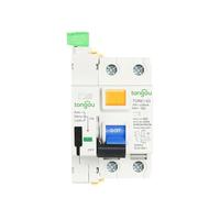RCCB RCD 6KA AC 2P 230V tipo dispositivo de recierre automático disyuntor diferencial 63A 30mA 100mA 300mA(10A)