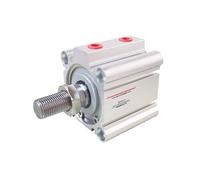 RCGKNNMUZ Cilindro neumático de Aire for máquina punzonadora QGY20/25/32/40, Carrera 10-100 mm, 1 Unidad, 40(QGY40 (BORE 40mm),Stroke 100mm)