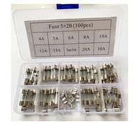 RCGKNNMUZ Fusible 100 Piezas/Juego de fusibles de soplado rápido de 5x20 mm, Varias especificaciones, 4A 5A 6A 8A 10A 12A 15A 20A 30A Asiento de Fusible 10 Piezas Cada uno