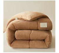 RCGNR EdredóN CáLido De Invierno, EdredóN HipoalergéNico De Fibra, NóRdico CáLido NúCleo, CáLido Gruesa Engrosado OtoñO E Invierno, NúCleo Colcha CáLida Gruesa B, 150x200cm/3.5kg