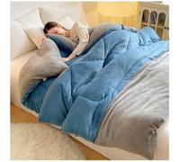 RCGNR Espesar Terciopelo De Leche Manta EdredóN Cama Suave CáLido, NóRdico CáLido NúCleo, Transpirable para Invierno, Manta Cama Matrimonio Y Sofá De Invierno B, 200x230cm/4kg