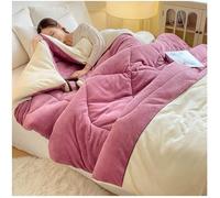 RCGNR Espesar Terciopelo De Leche Manta EdredóN Cama Suave CáLido, NóRdico CáLido NúCleo, Transpirable para Invierno, Manta Cama Matrimonio Y Sofá De Invierno F,150x200cm/2kg