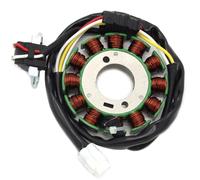 RDWSPLI Estator Magneto Motocicleta Compatible con Yamaha para WR250F 2004 2005 2006 2007 2008 2009 5UM-81410-09-00 Accesorios De Bobina De Estator De Generador De Motocicleta