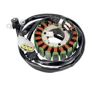 RDWSPLI Estator Magneto Motocicleta Compatible con Yamaha para WR250F 2004 2005 2006 2007 2008 2009 5UM-81410-09-00 Accesorios De Bobina De Estator De Generador De Motocicleta