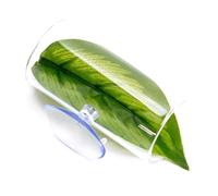 Rdxanc Bettas - Túnel de descanso para peces para criar peces para un entorno de reproducción cómodo
