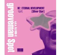 Re:Eternal Development(Silver Star)