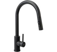 Rea Fresh grifo de cocina de pie negro REA-B9147
