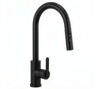 Rea Ontario grifo de cocina de pie negro REA-B7200