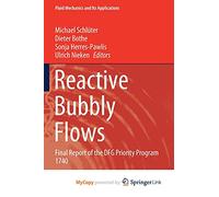 Reactive Bubbly Flows: Final Report of the DFG Priority Program 1740