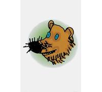 [( Read Write Inc. Phonics: Picture Sounds Cards Pack of 118 Single )] [by: Ruth Miskin] [Oct-2006]