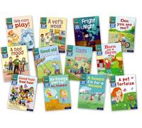 Read Write Inc - Phonics Set 4 Orange Book Bag Books Pack of 12