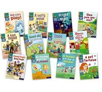 Read Write Inc - Phonics Set 4 Orange Book Bag Books Pack of 12