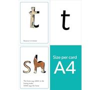 Read Write Inc - Phonics Teaching Sounds Set 1 Speed Sounds Cards (A4) Single (NC READ WRITE INC - PHONICS)