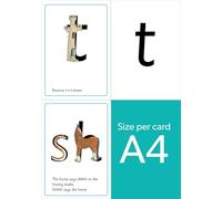 Read Write Inc - Phonics Teaching Sounds Set 1 Speed Sounds Cards (A4) Single