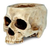 Readaeer - Maceta con Forma de Calavera/Cabeza de Muerte Humana