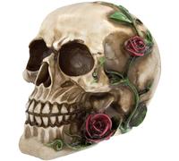 READAEER Réplica de Esqueleto de tamaño Real Realista de Calavera Humana, Modelo de Hueso (Rosa)