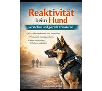 Reaktivität beim Hund verstehen und gezielt trainieren: Ursachen erkennen und verstehen