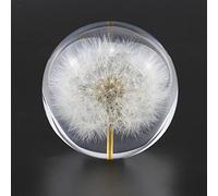Real Dandelion Crystal Glass Resin Lens Ball 70mm Natural Plants Specimen Feng Shui Flowers Christmas Love Gift Home Decor-70mm