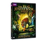 Real Jungle Book Animals [Edizione: Stati Uniti] [Italia] [DVD]