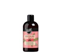 Real Natura Champú Liso Perfecto 300 ml