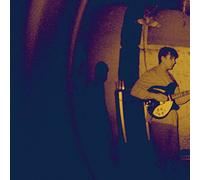 Real Numbers - Wordless Wonder [Vinilo]