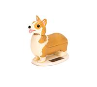 Real Perro Corgi Solar