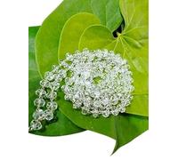 Real Sphatik Mala Original Certified Sfatik Original Beads Sfatik Mala Silver Chain Sphatika Rosary Mala Diamond Cut Sphatik Mala Crystal Quartz 108 Beads Rosary Sfatic Mala ?????? ????