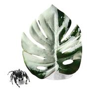 Realistic Jumping Spider, Habitat Viewing Accessory, Pet Decor for Display Enrichment, Durable Acrylic Construction, Terrarium Care Equipment, Indoor Reptil Amphibian Observation Use